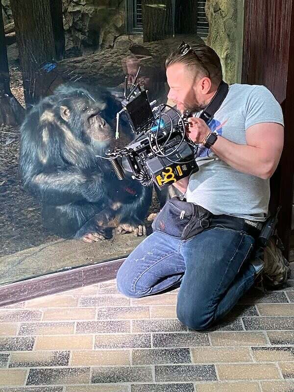23_ZOO_Chimpanzee_Camera_Hume_800x400