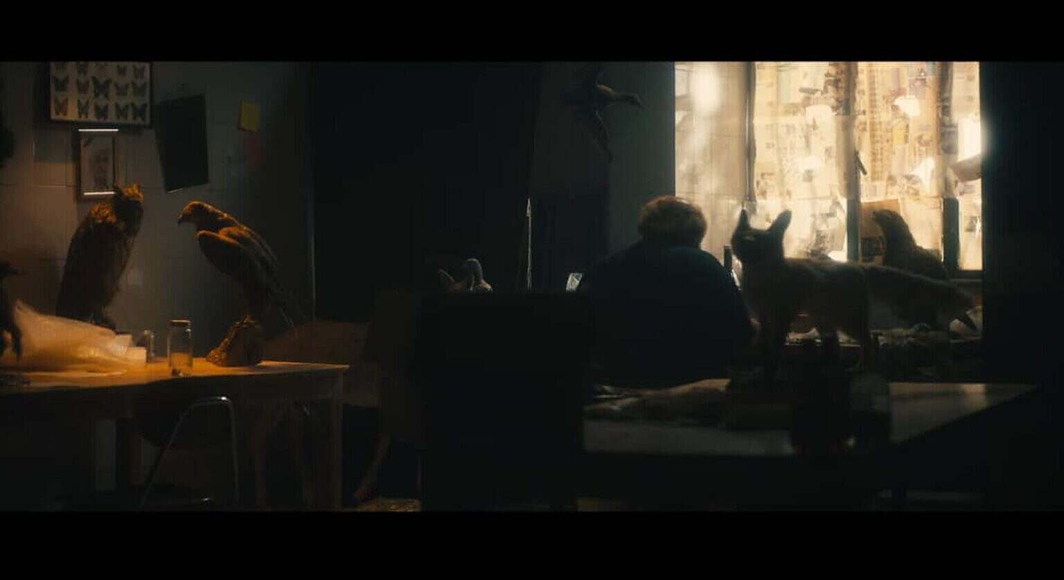 Photo 1 _