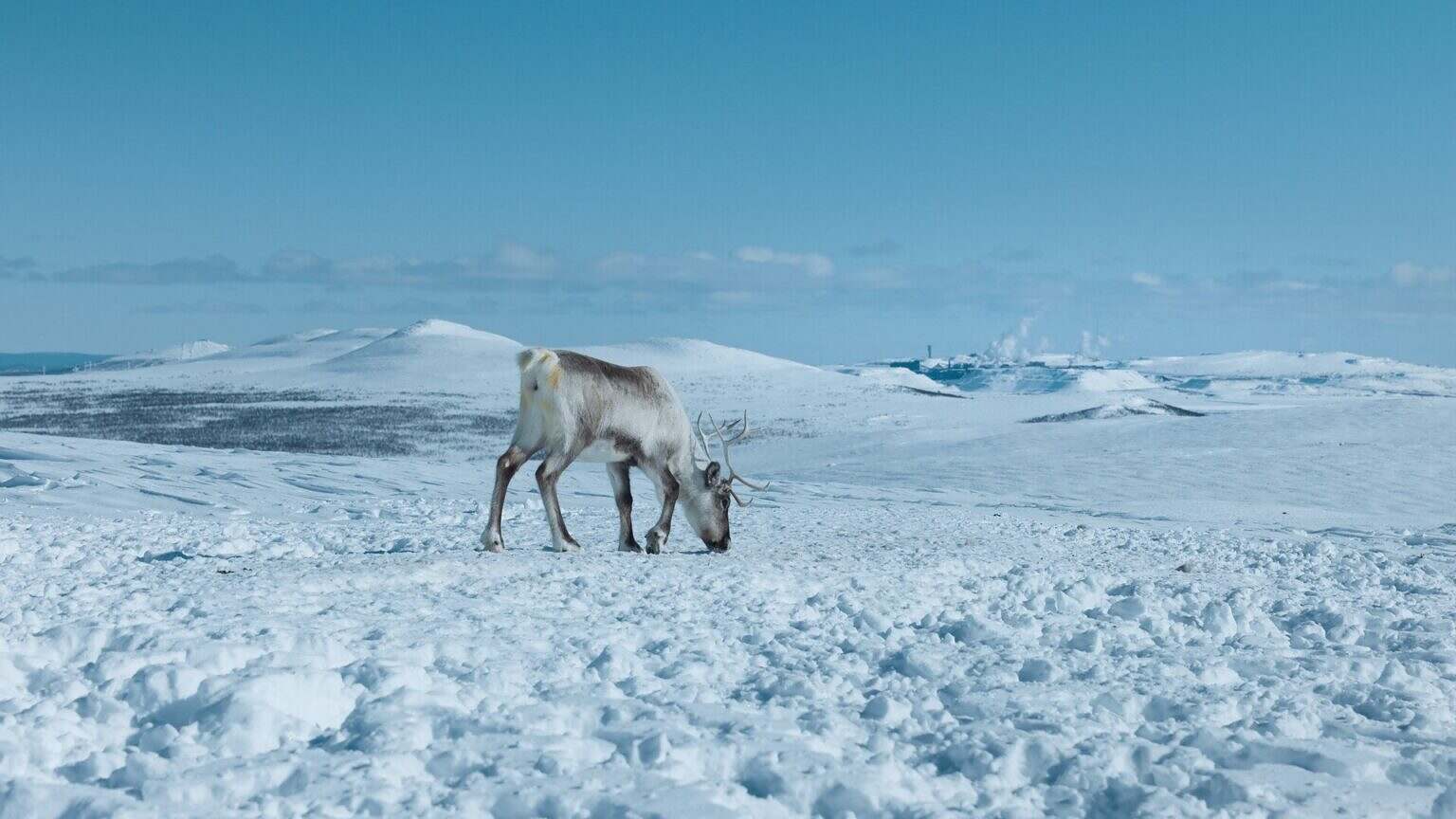 Photo 1 ScarsOfGrowth_Still_954958