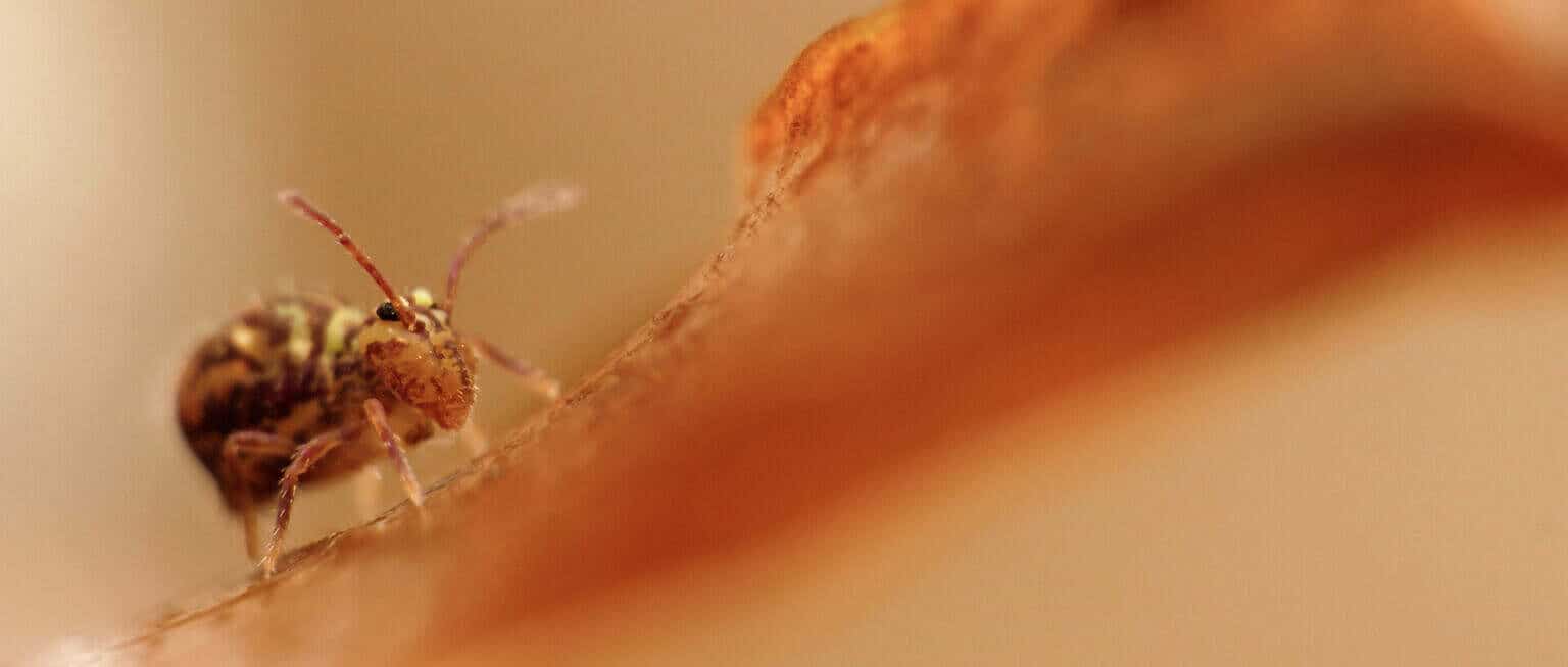 Photo 1 Sequence_01.00_00_45_00.Still008