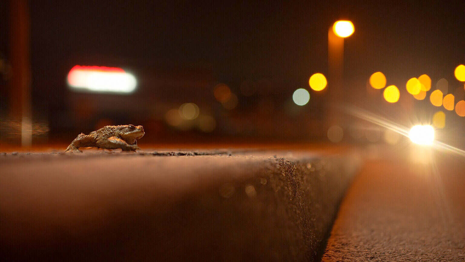 Photo 1 Untitled_1.3.1