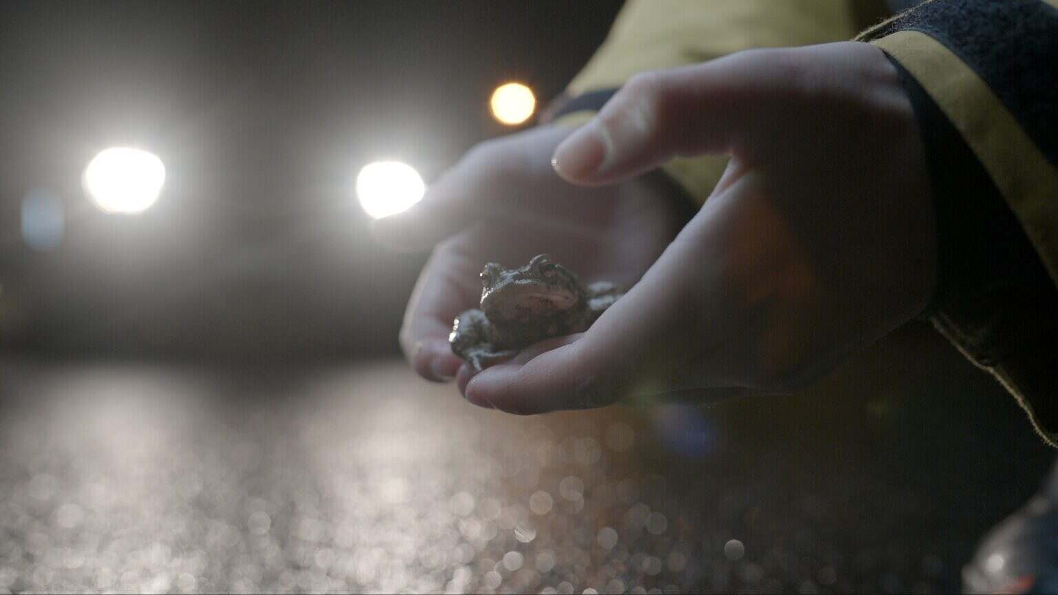 Photo 2 Untitled_2.7.1