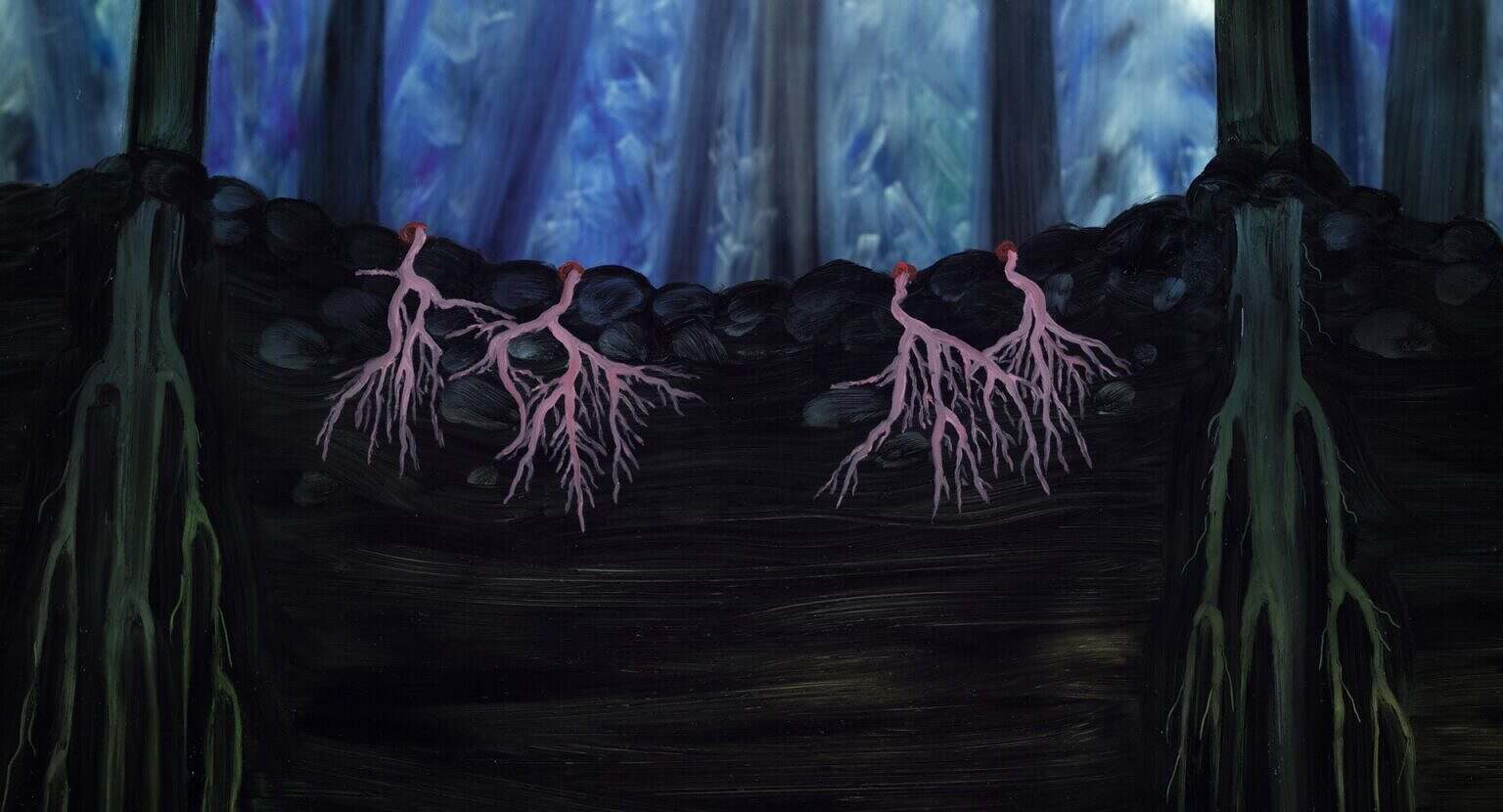 Photo 3 Maurfilm-Plevel-viyualy-6