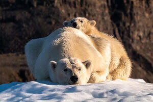 Photo 3 MY_GREENLAND_STILL-22