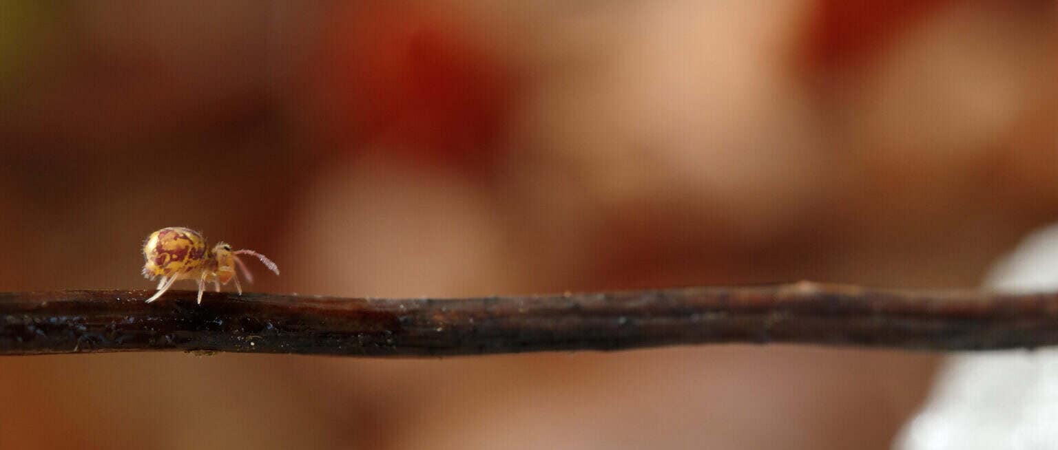 Photo 3 Sequence_01.00_02_58_06.Still012