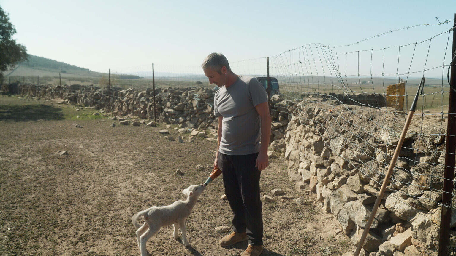 Photo 4 ScarsOfGrowth_Still_910536