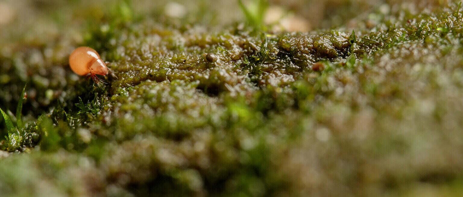 Photo 4 Sequence_01.00_00_45_10.Still004