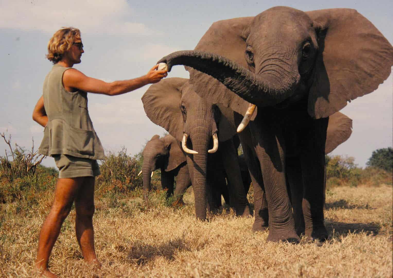 Photo 4 STILL_001_IAIN_FEEDING_VIRGO_SaveTheElephants