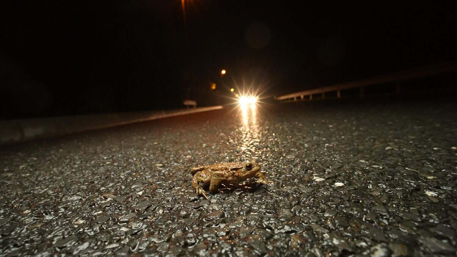 Photo 4 Untitled_3.7.1