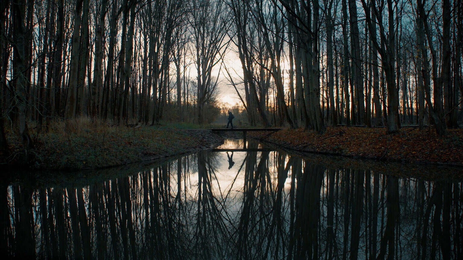Photo 5 PICTURELOCK_MASTER_1080p_from_Grade_and_Mix.00_01_35_08.Still002