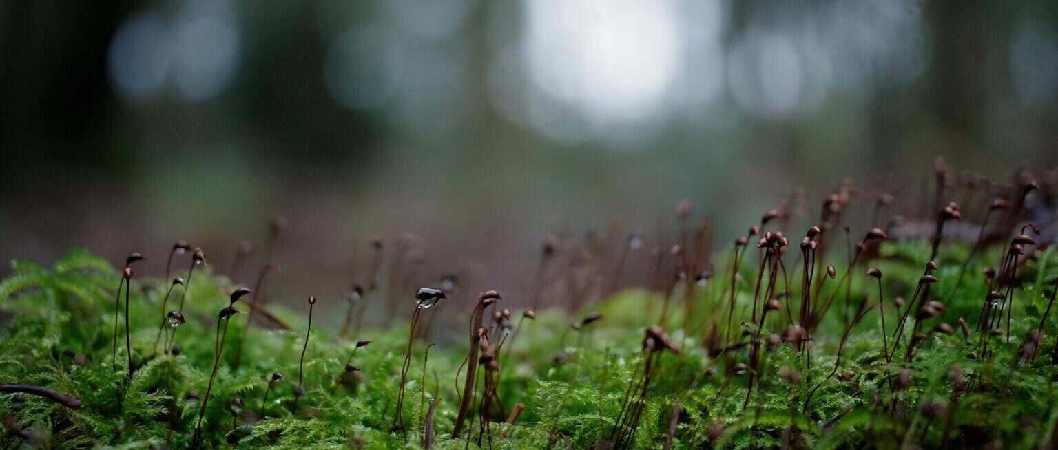 Photo 5 Sequence_01.00_02_42_12.Still011