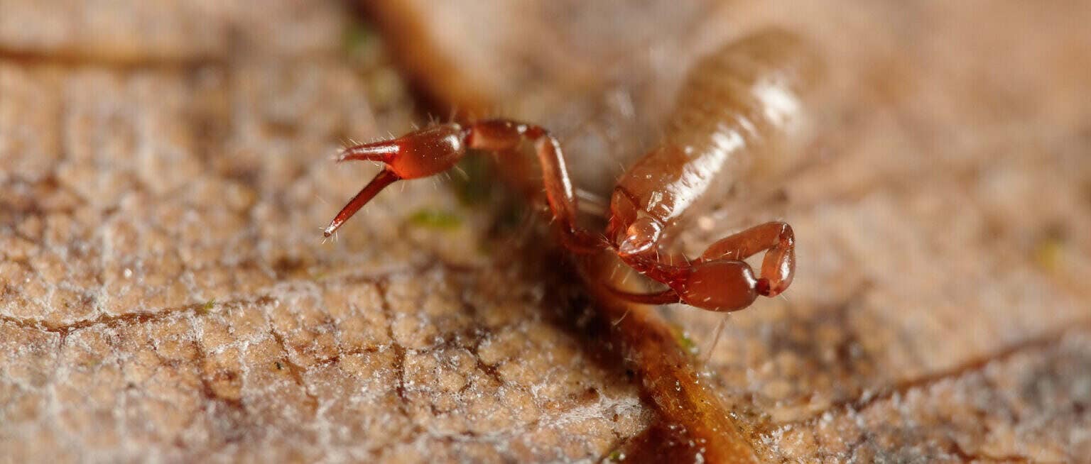 Photo 6 Sequence_01.00_01_31_21.Still003