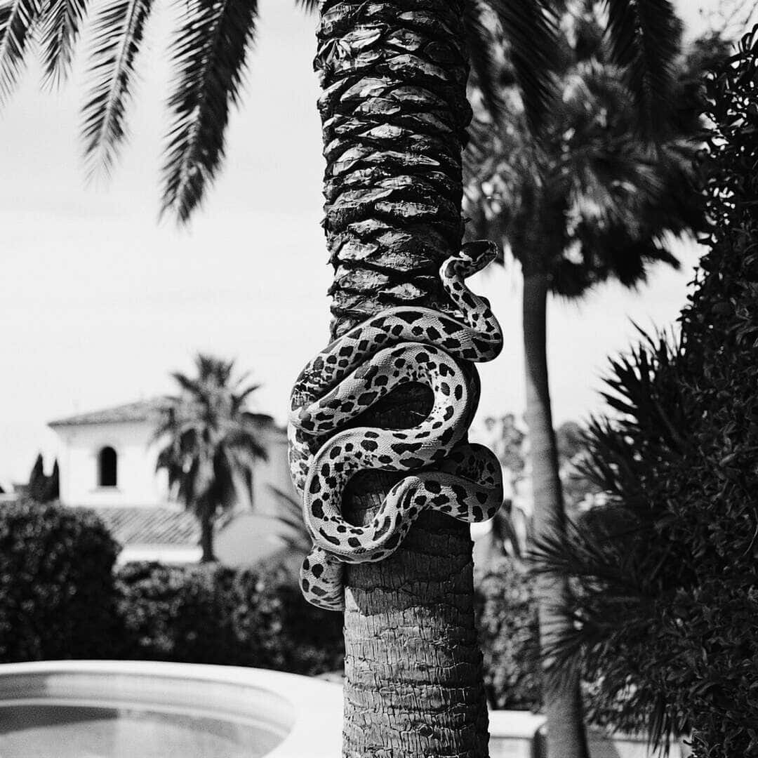 Photo 7 Cap_dAil_KV_08