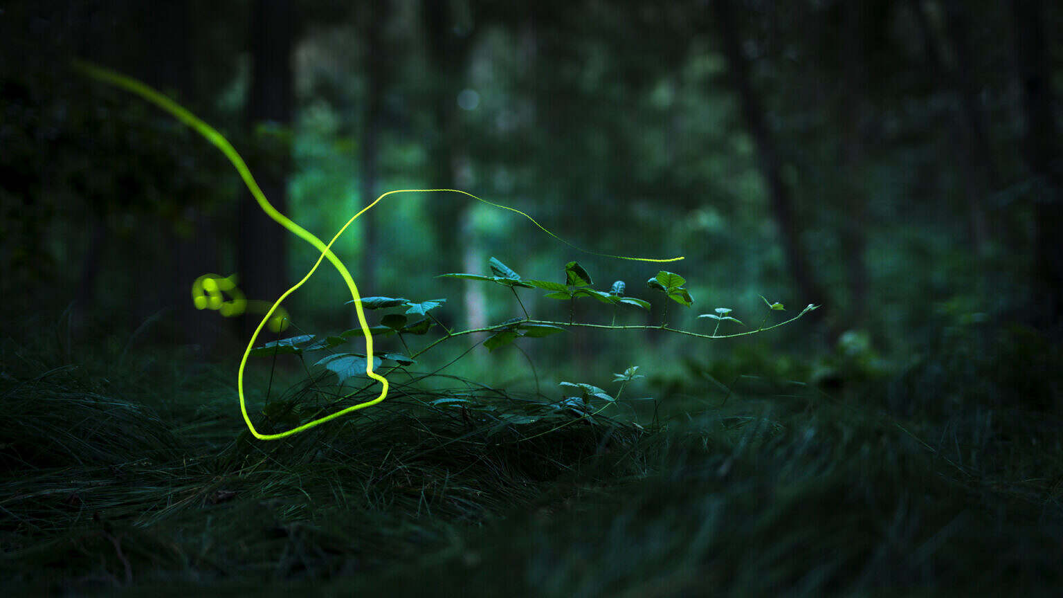 Photo 8 FASZINATION_EUROPA_EP6_Pressefotos_6