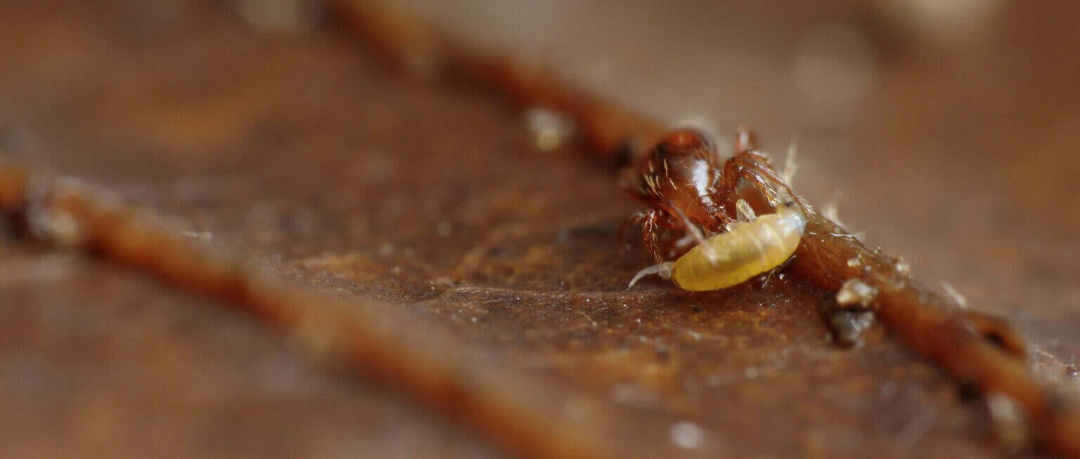 Photo 8 Sequence_01.00_02_13_12.Still005