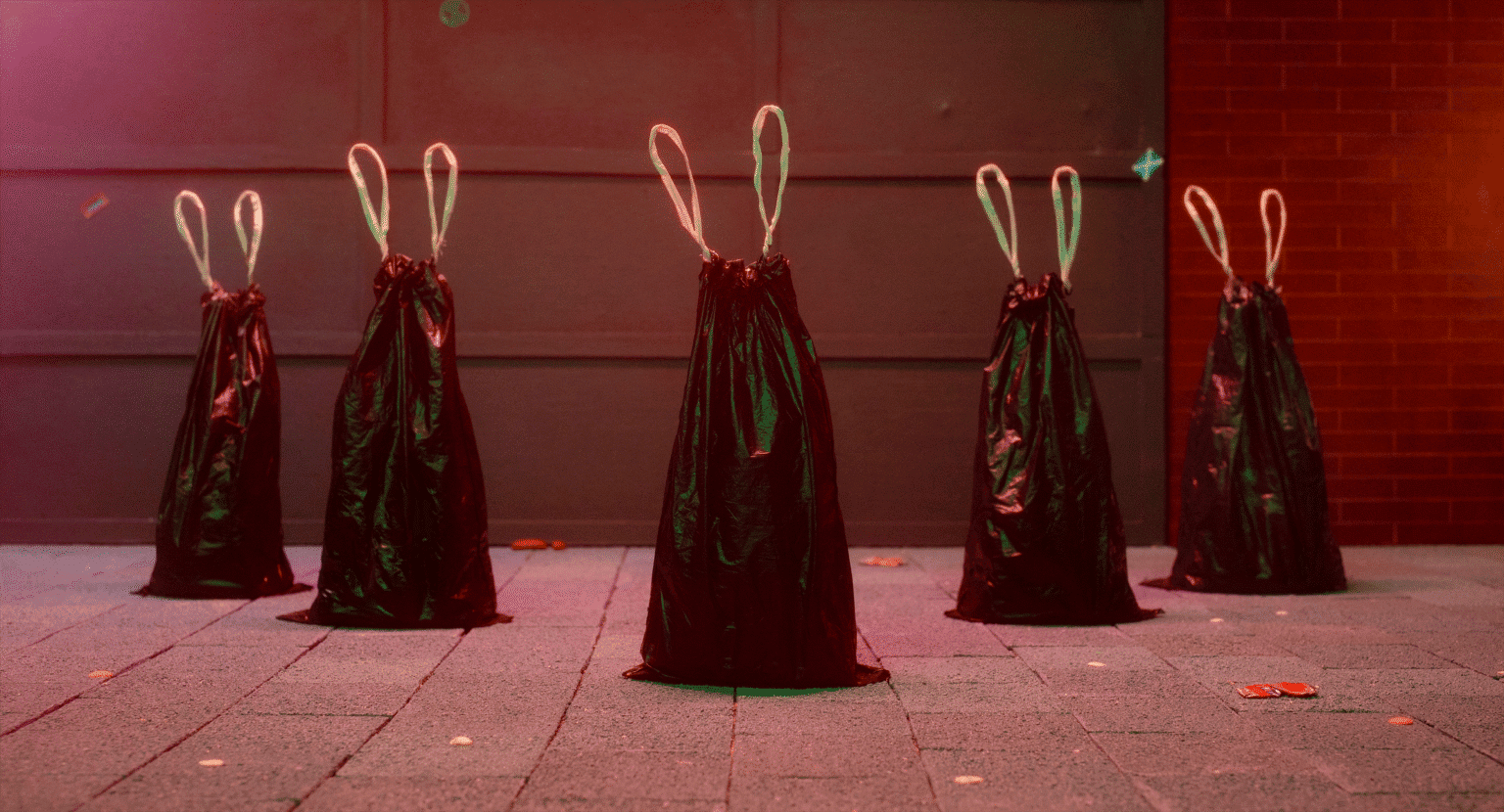 Still_1_reference image