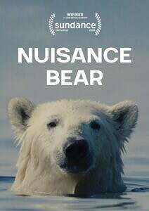 014_NuisanceBear_Poster