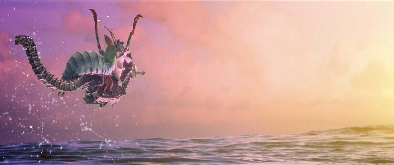 image-9MC-300dpi-03