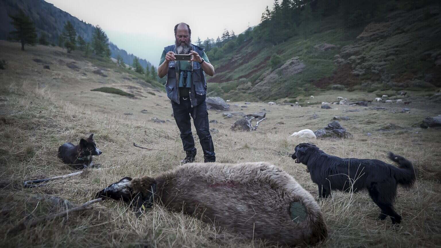 LUPI NOSTRI Shepherd Giorgio photographying dead animals